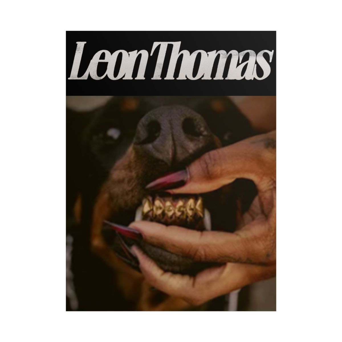 Leon Thomas Mutt Dog Portrait Rolled Poster | Leon Thomas Merch - Official Posters & Wall Art merchandise