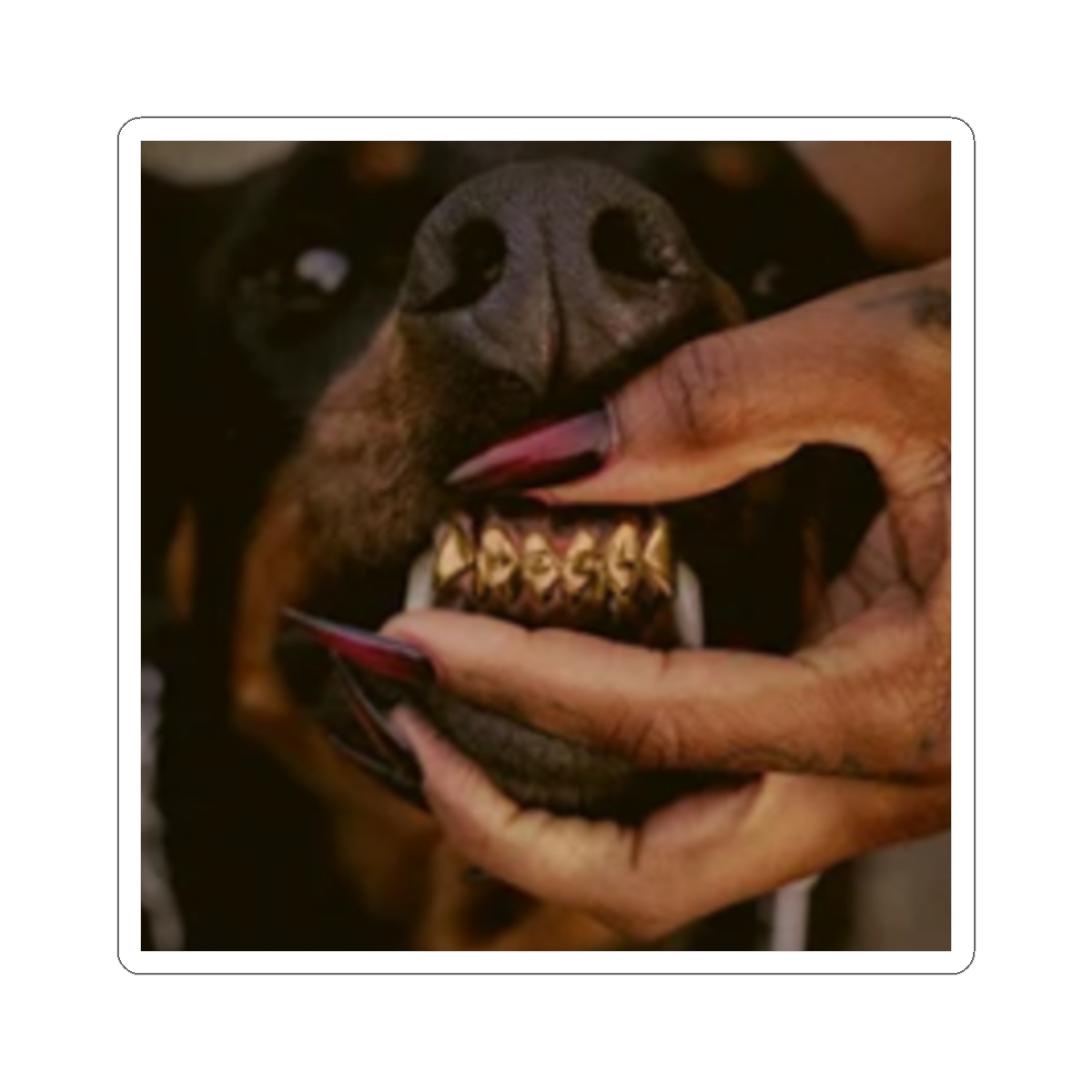 Mutt Album Kiss-Cut Sticker | Leon Thomas Merch - alternate angle 3, merchandise